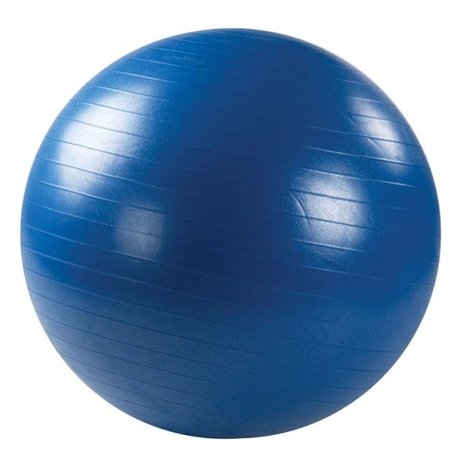 Мяч массажный 75 см синий (арт. L0175b)