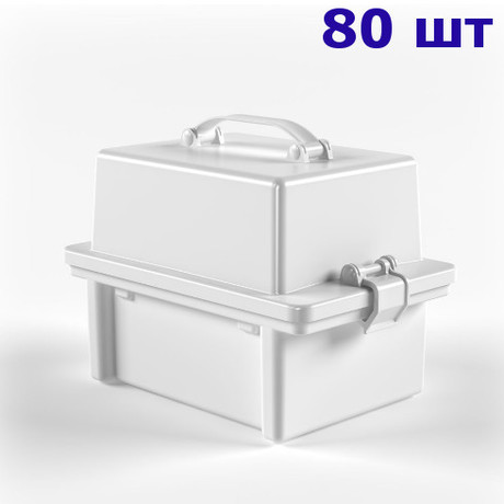 Контейнер-укладка УКТП-01 для пробирок (вариант 2)