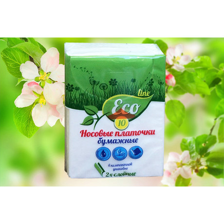 Платок носовой бумажные, 10 шт.