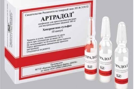 Хондроитин сульфат ампулы (лиофилизат для приготовления раствора для внутримышечного введения) 100мг, 10 шт.