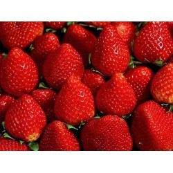 Масло косметическое Клубники 10мл