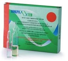 Сыворотка противоботулиническая типа A лошадиная очищенная концентрированная жидкая ампулы (раствор для инъекций) 10000МЕ 1доза, 5 шт. с сыв. лошад. разв. 1:100 амп. №5